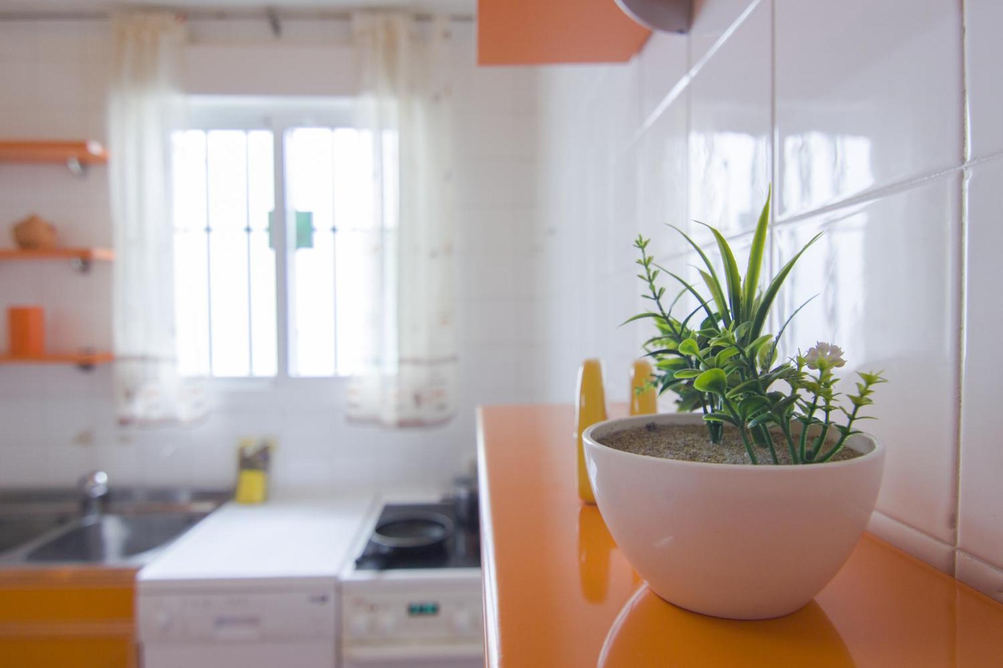 Rentalsevilla Buiza Y Mensaque Экстерьер фото